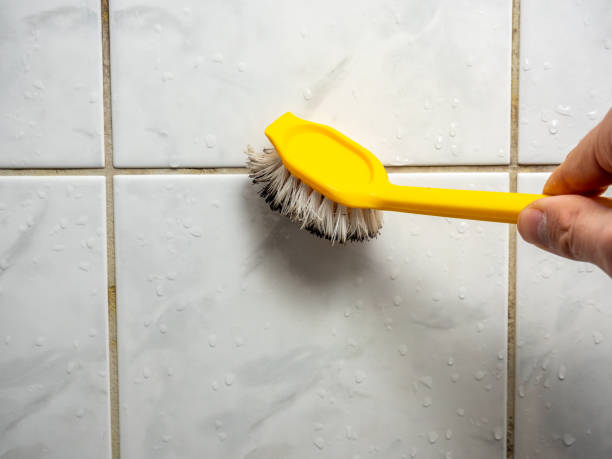 Best Mold Damage Repair  in Lincoln, ID