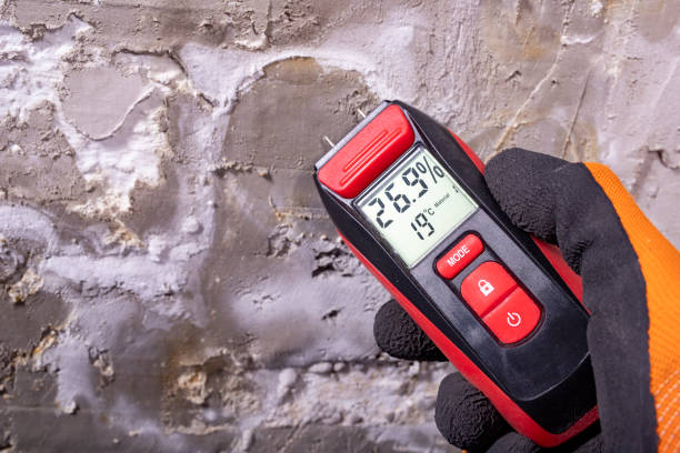  Lincoln, ID Mold Removal Pros